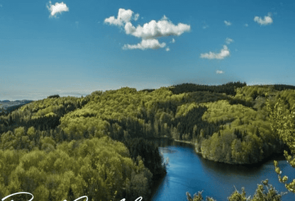 Cheboygan, MI Homes for Sale