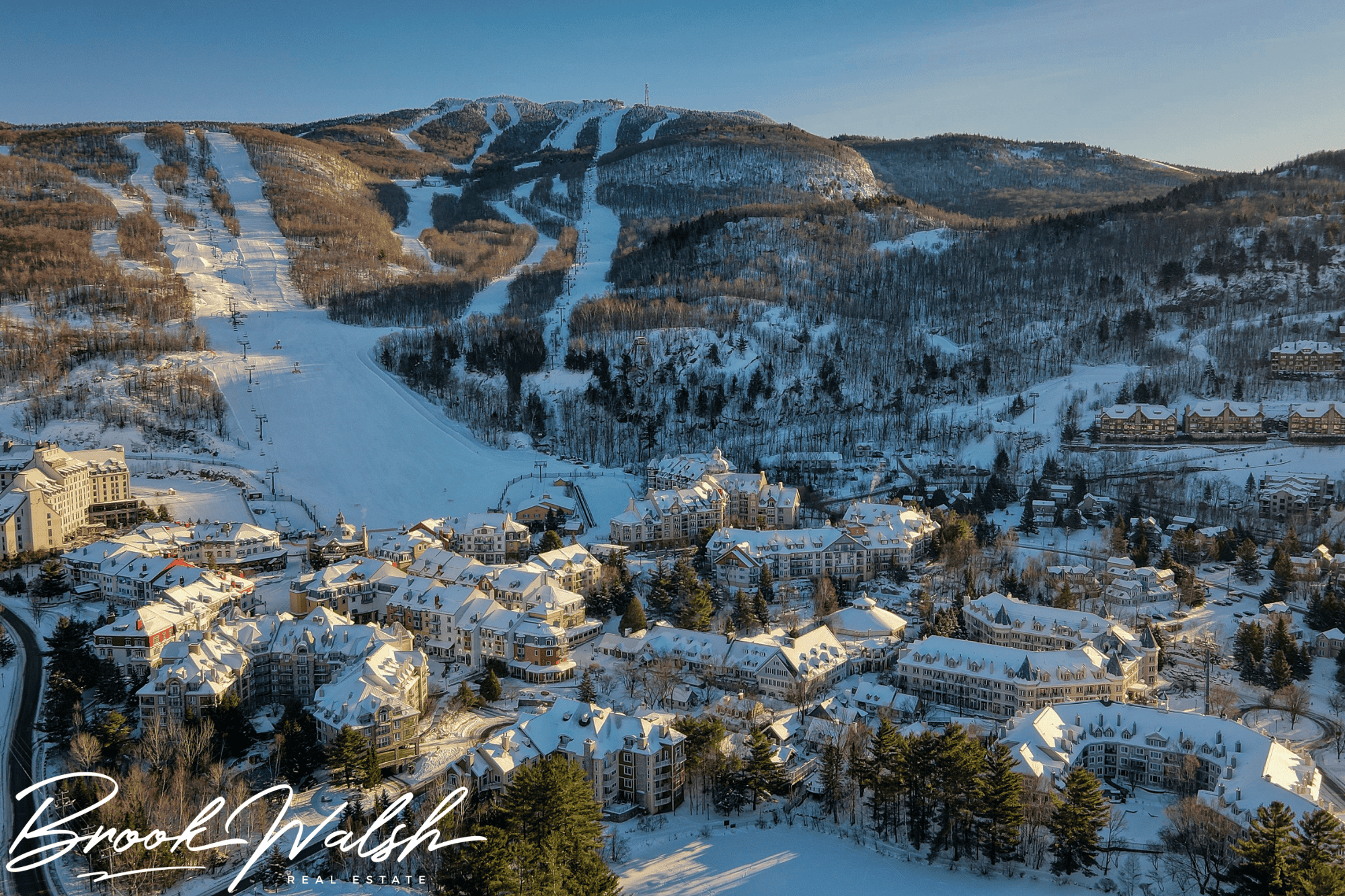 Aerial view of luxury Harbor Springs resort surrounded by lush trees and Lake Michigan shoreline.