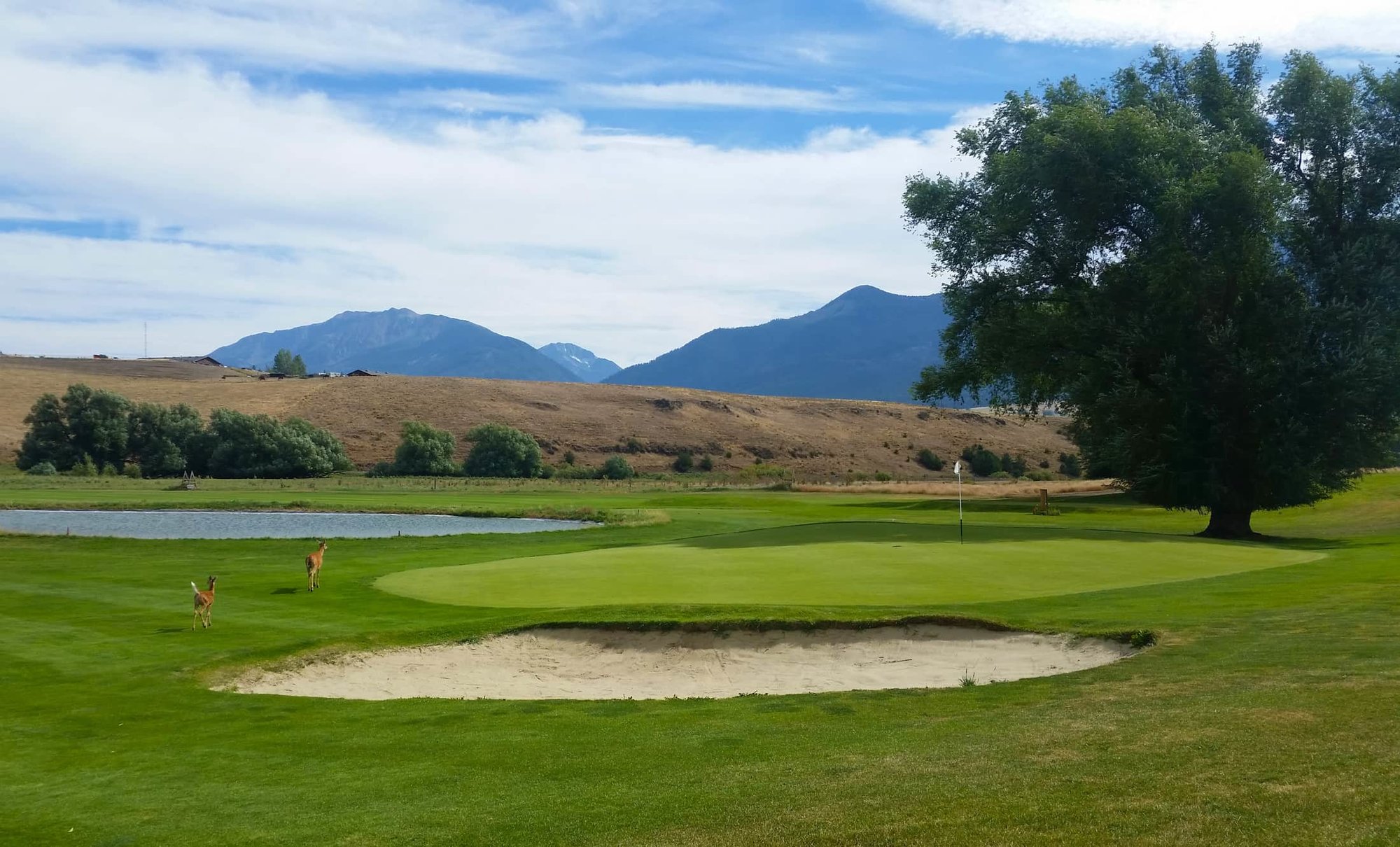 Proximity to Alpine and Monument Golf Courses