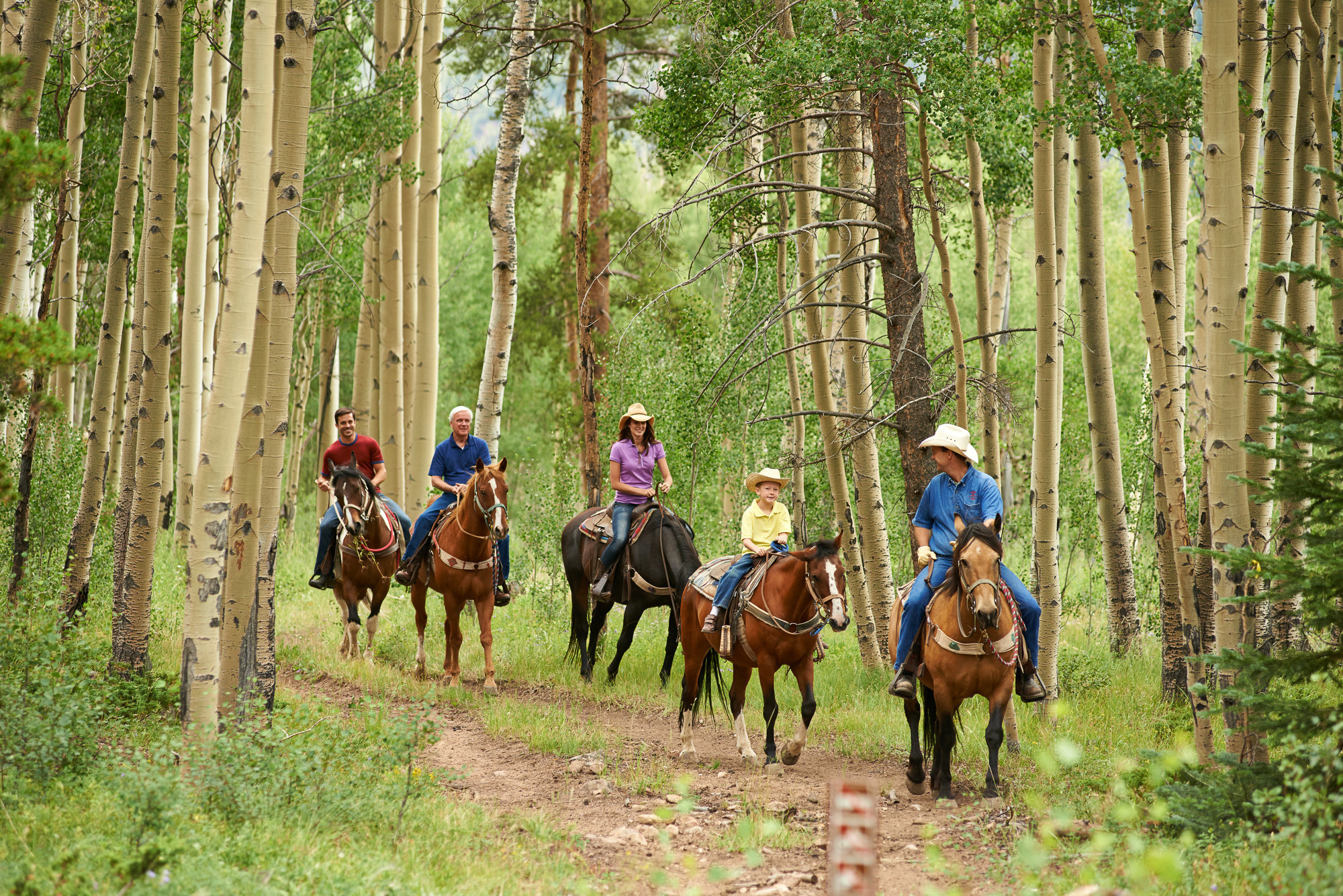 Exploring the Island by horse