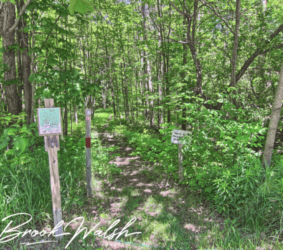 Outdoor Recreation Near Trout Creek