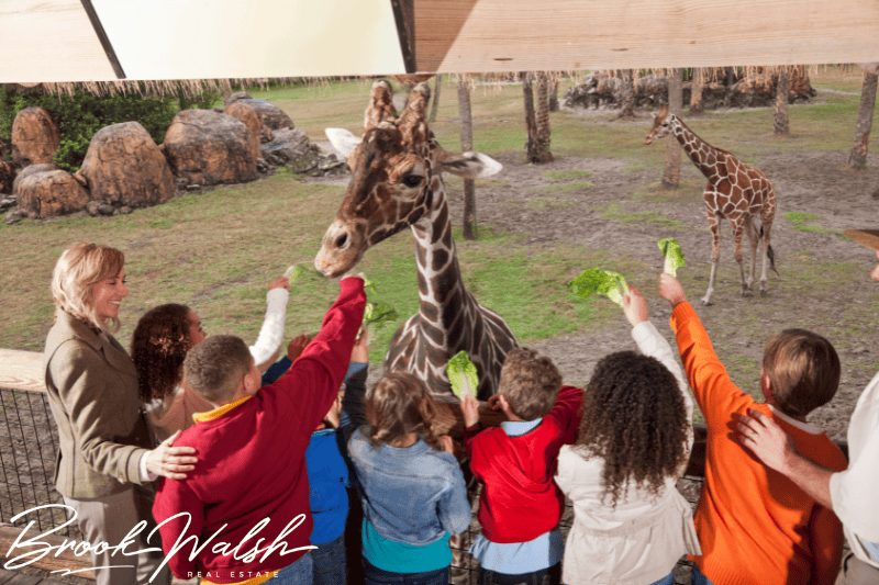 Family-Friendly Attractions