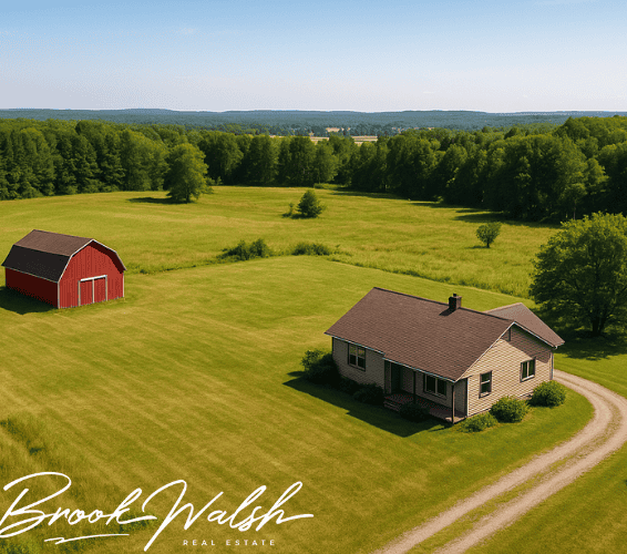 Photo of Alanson, Michigan community