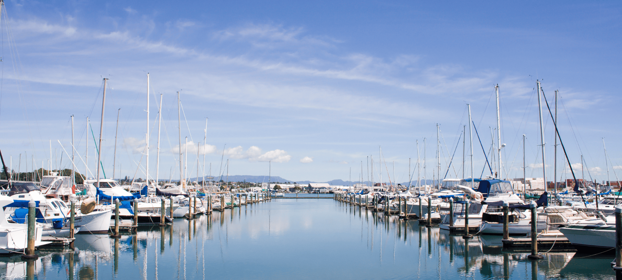 Aerial view of boats docked at Lake Charlevoix marina on a sunny summer day