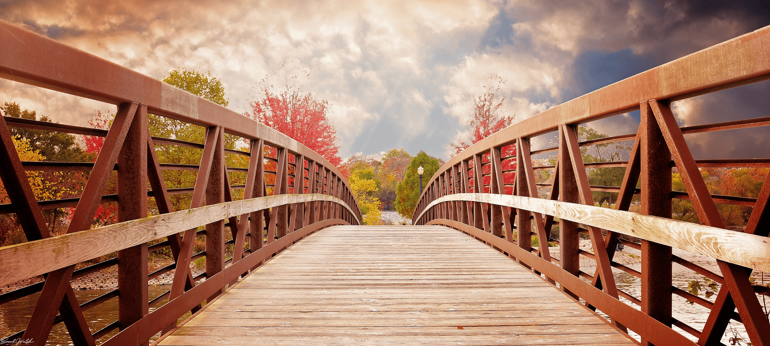 Scenic view of Northern Michigan’s lakes, forests, and charming small towns