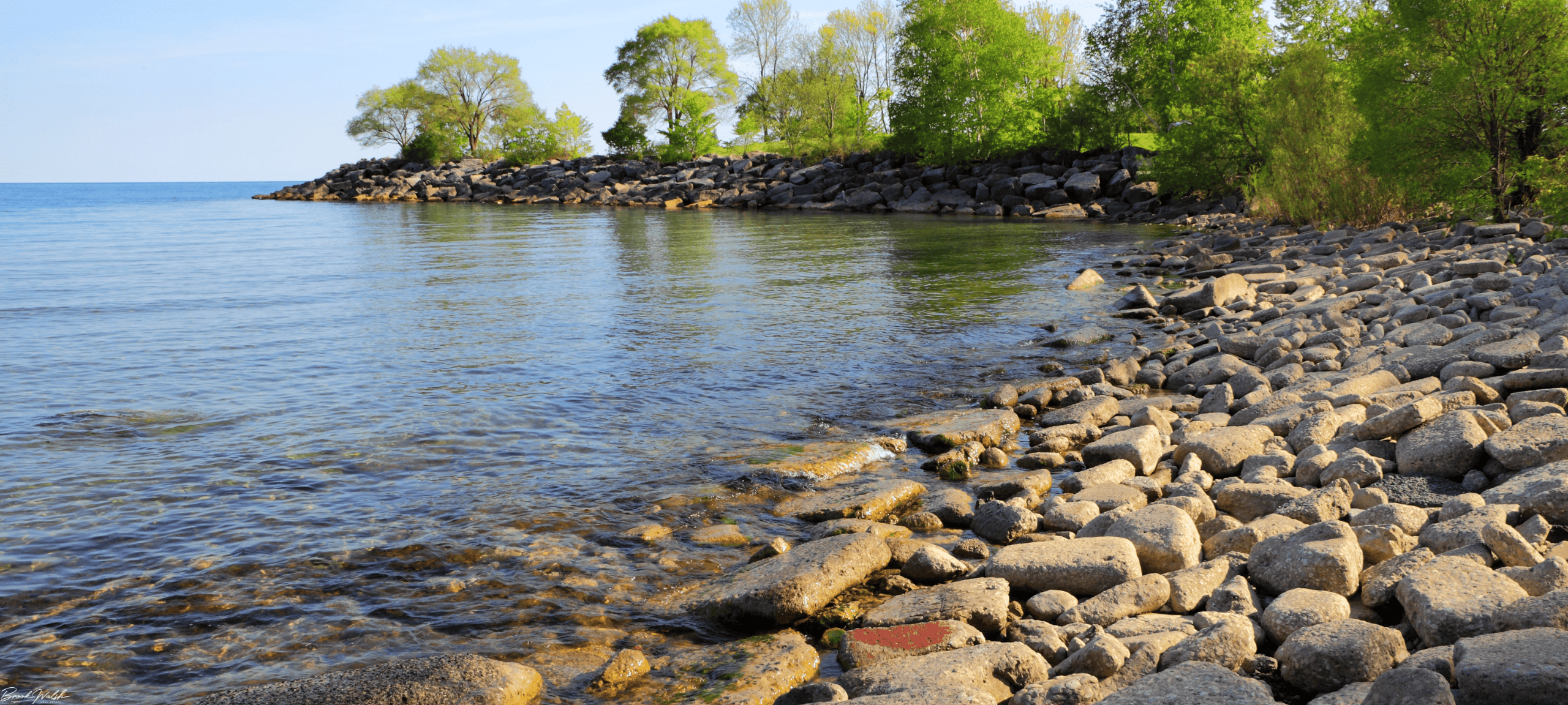 Scenic view of Walloon Lake showing its vast size and clear water