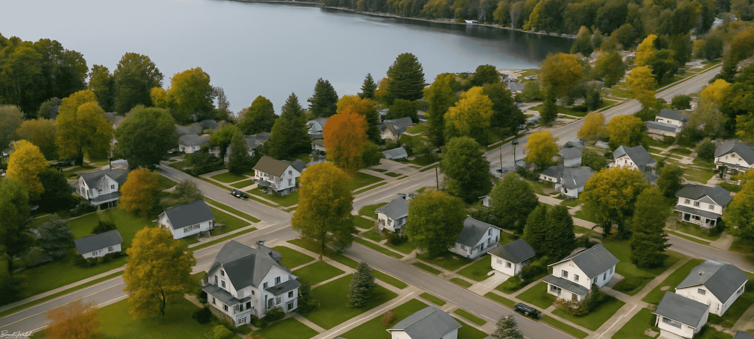 Aerial view of downtown Lake Ann homes near the lake