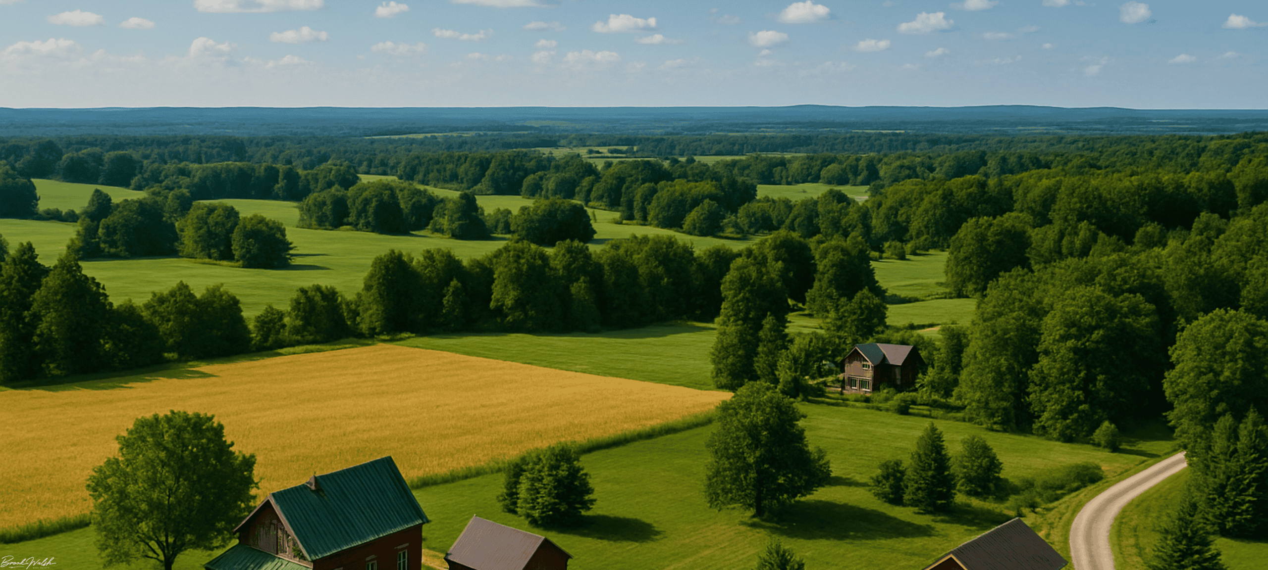 Aerial view of land lover homes in Maple City, MI