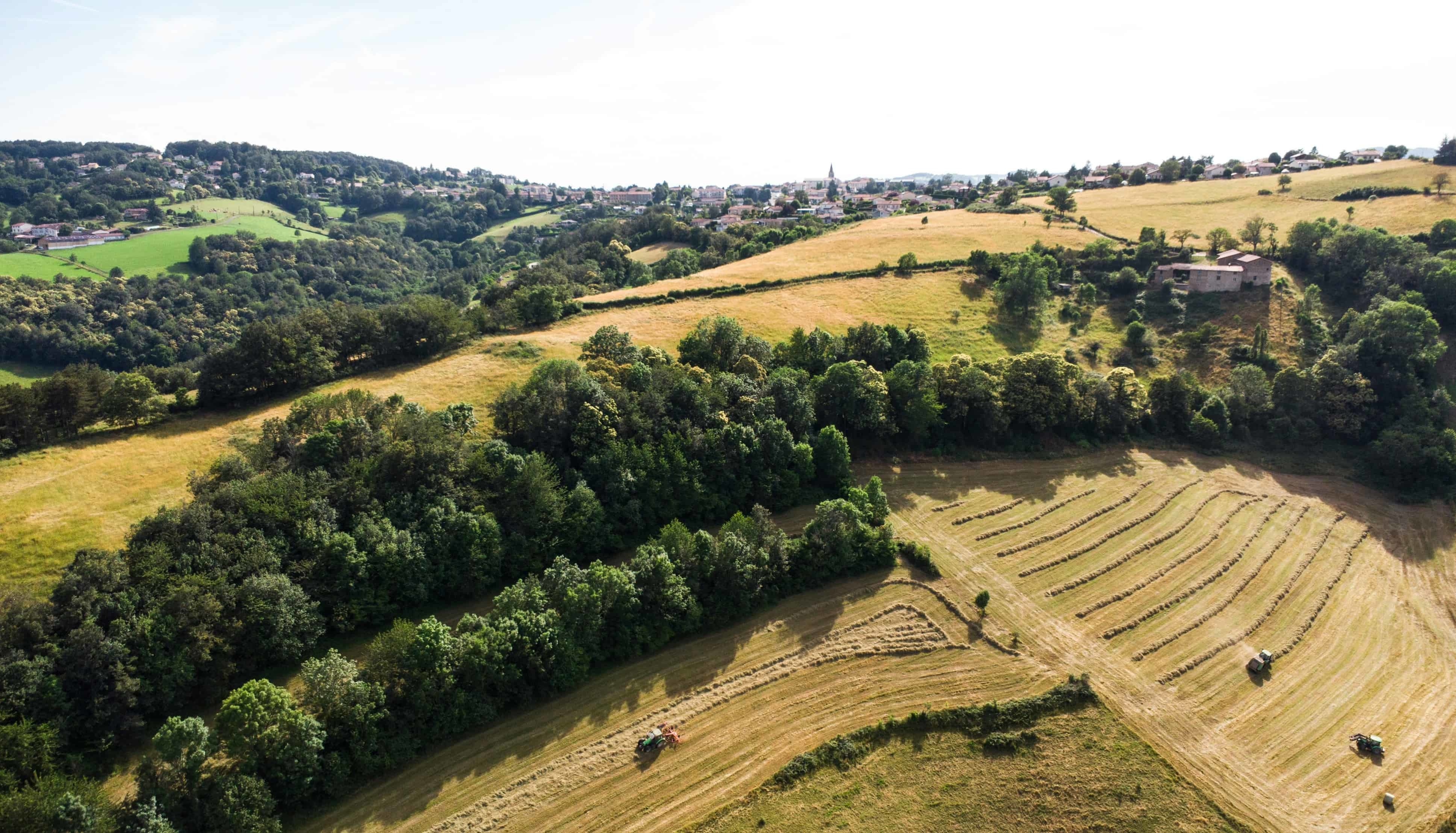 Explore Pellston, Michigan: A charming village with scenic beauty and outdoor adventures.