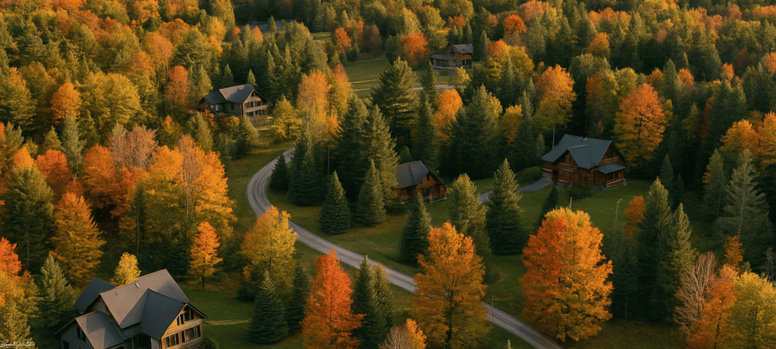 Aerial view of Sugarloaf homes surrounded by Michigan forests