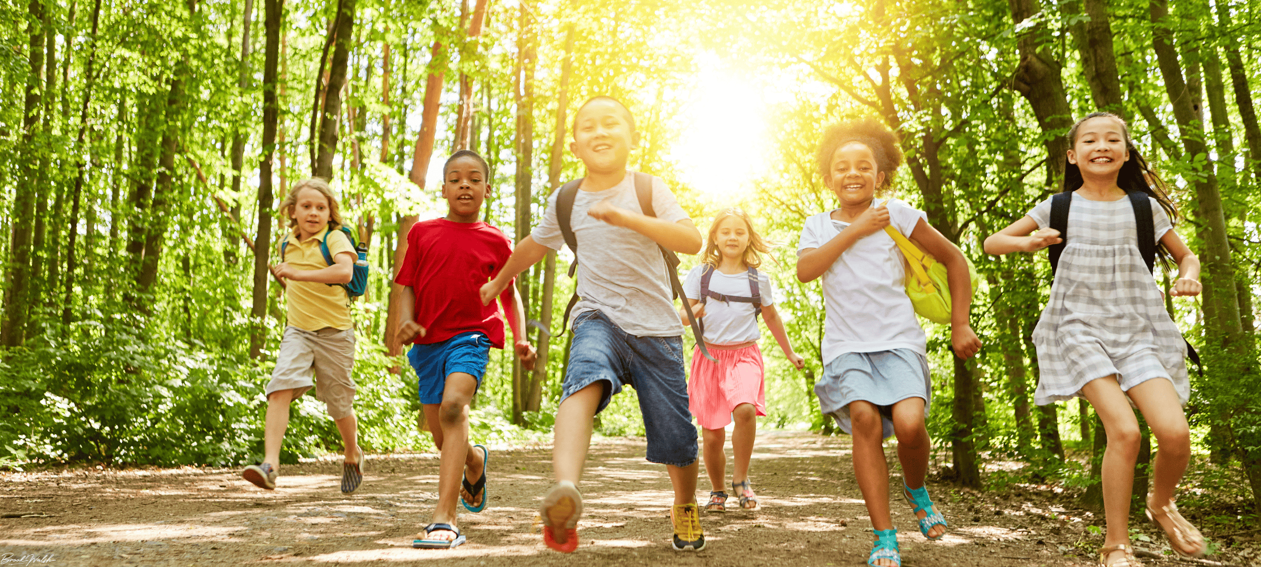 Kids enjoying outdoor activities at Walloon Lake summer camp with water sports and nature trails.