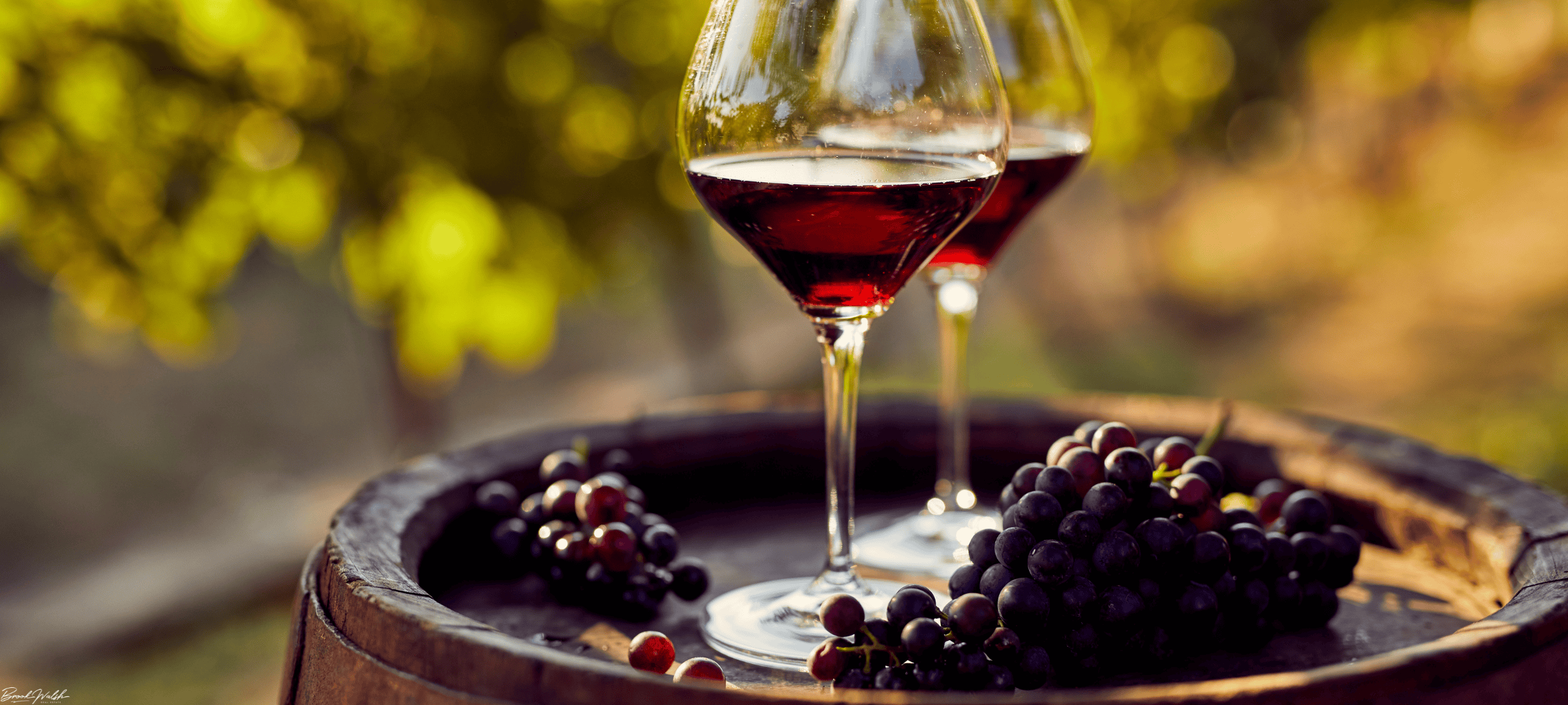 Scenic view of Walloon Lake Winery vineyard and tasting area